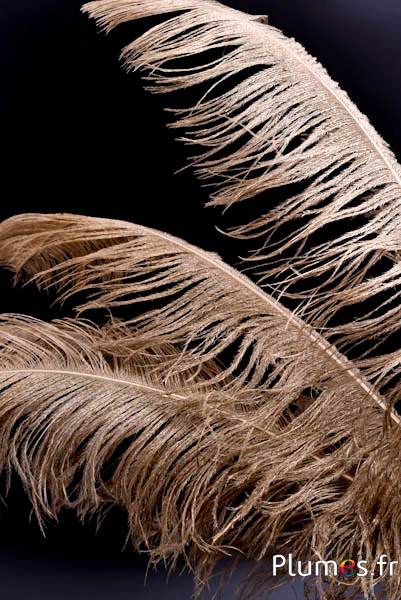 Struisvogel - 50-60 cm - verguld